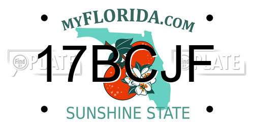 17BCJF Florida License Plate