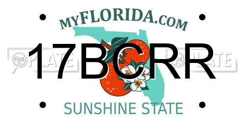 17BCRR Florida License Plate