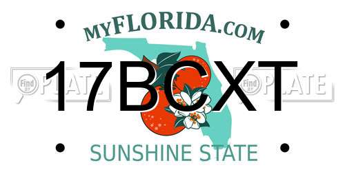 17BCXT Florida License Plate
