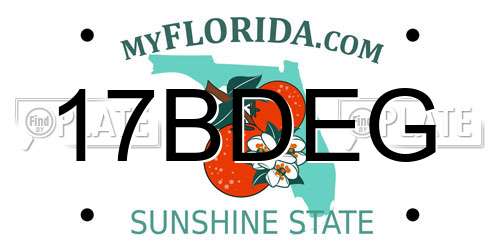 17BDEG Florida License Plate