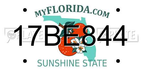 17BE844 Florida License Plate