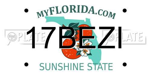 17BEZI Florida License Plate