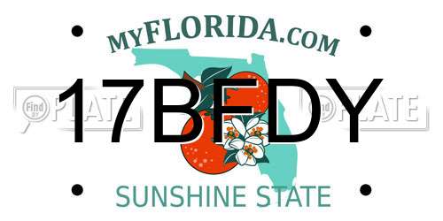 17BFDY Florida License Plate