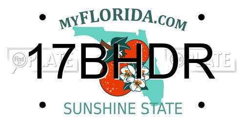 17BHDR Florida License Plate