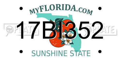 17BI352 Florida License Plate