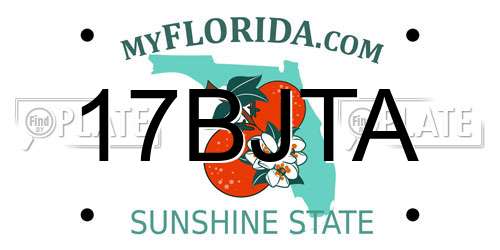 17BJTA Florida License Plate