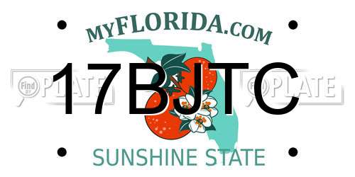 17BJTC Florida License Plate
