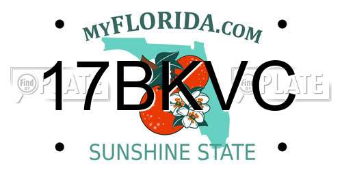 17BKVC Florida License Plate