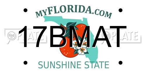 17BMAT Florida License Plate