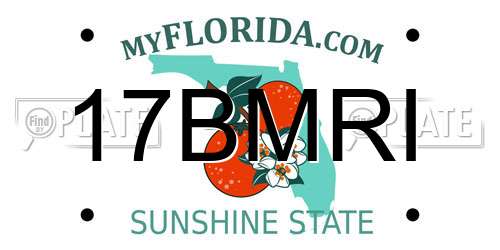 17BMRI Florida License Plate