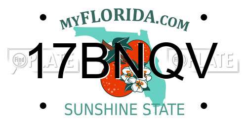 17BNQV Florida License Plate