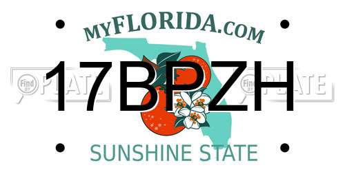 17BPZH Florida License Plate