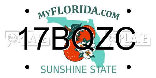 17BQZC Florida License Plate