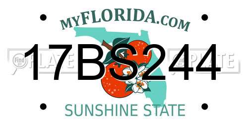 17BS244 Florida License Plate