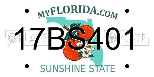 17BS401 Florida License Plate