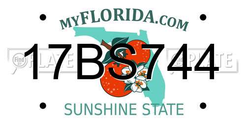 17BS744 Florida License Plate