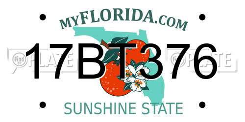 17BT376 Florida License Plate