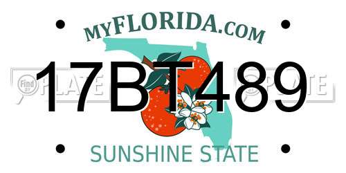 17BT489 Florida License Plate