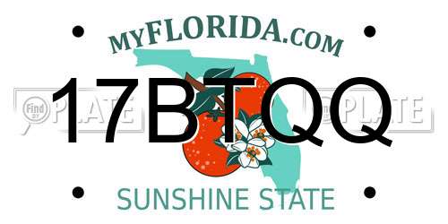 17BTQQ Florida License Plate