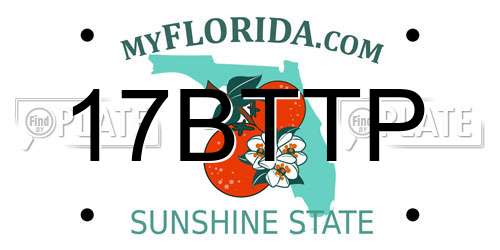 17BTTP Florida License Plate