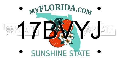 17BVYJ Florida License Plate