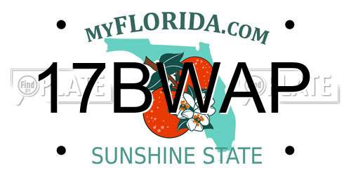 17BWAP Florida License Plate