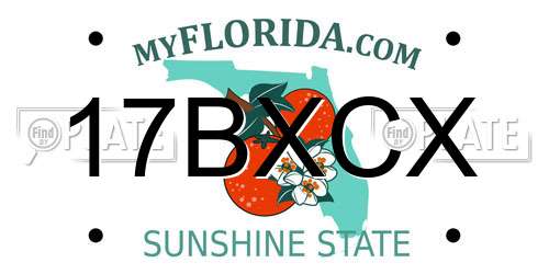 17BXCX Florida License Plate