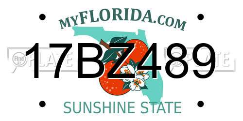 17BZ489 Florida License Plate
