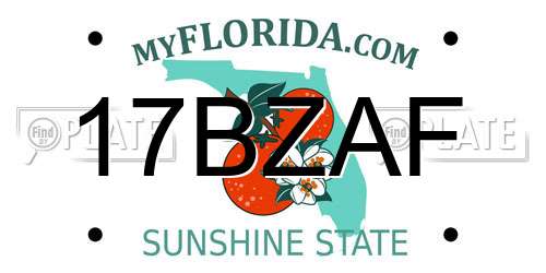 17BZAF Florida License Plate