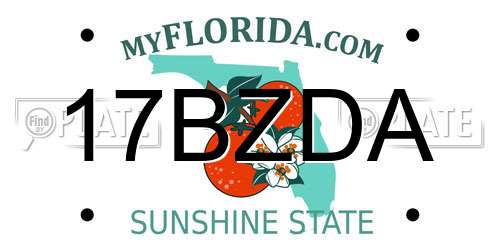 17BZDA Florida License Plate