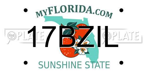 17BZIL Florida License Plate