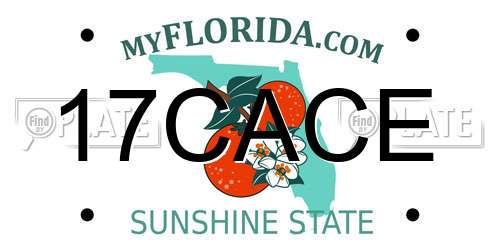 17CACE Florida License Plate