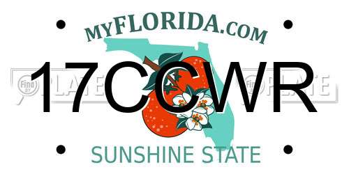 17CCWR Florida License Plate