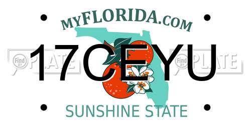 17CEYU Florida License Plate