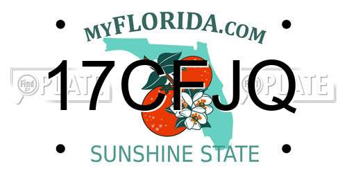 17CFJQ Florida License Plate