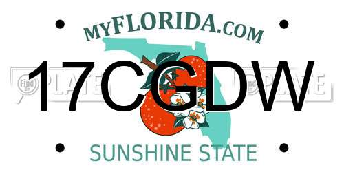 17CGDW Florida License Plate