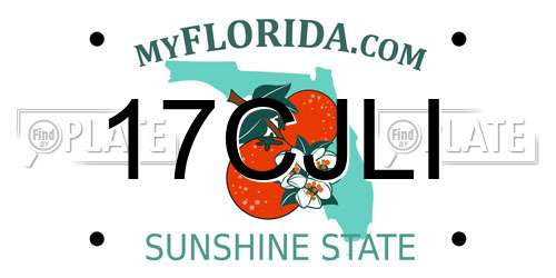 17CJLI Florida License Plate