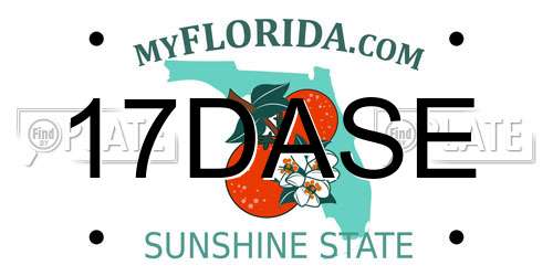 17DASE Florida License Plate