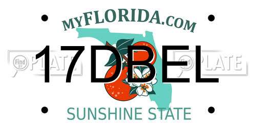17DBEL Florida License Plate
