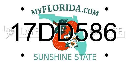 17DD586 Florida License Plate