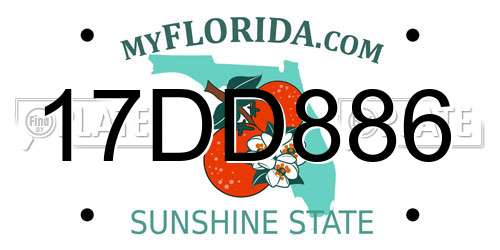 17DD886 Florida License Plate