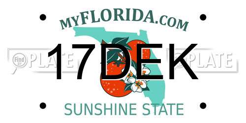 17DEK Florida License Plate