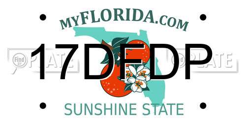 17DFDP Florida License Plate