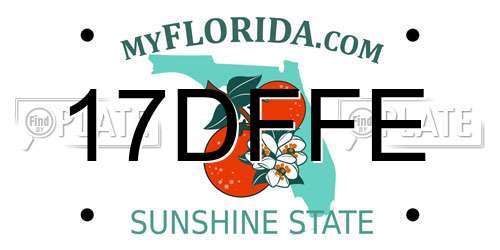 17DFFE Florida License Plate