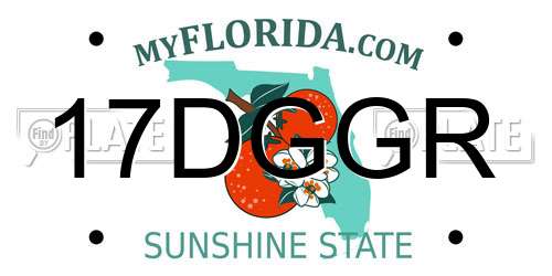 17DGGR Florida License Plate