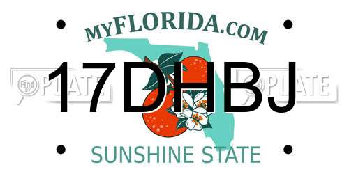 17DHBJ Florida License Plate