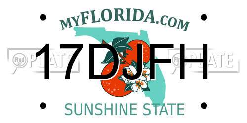 17DJFH Florida License Plate