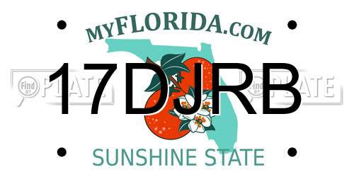 17DJRB Florida License Plate