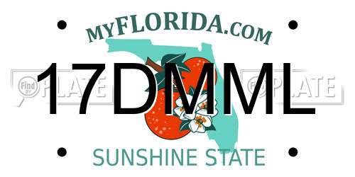 17DMML Florida License Plate