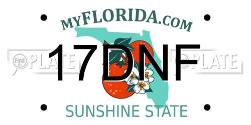 17DNF Florida License Plate